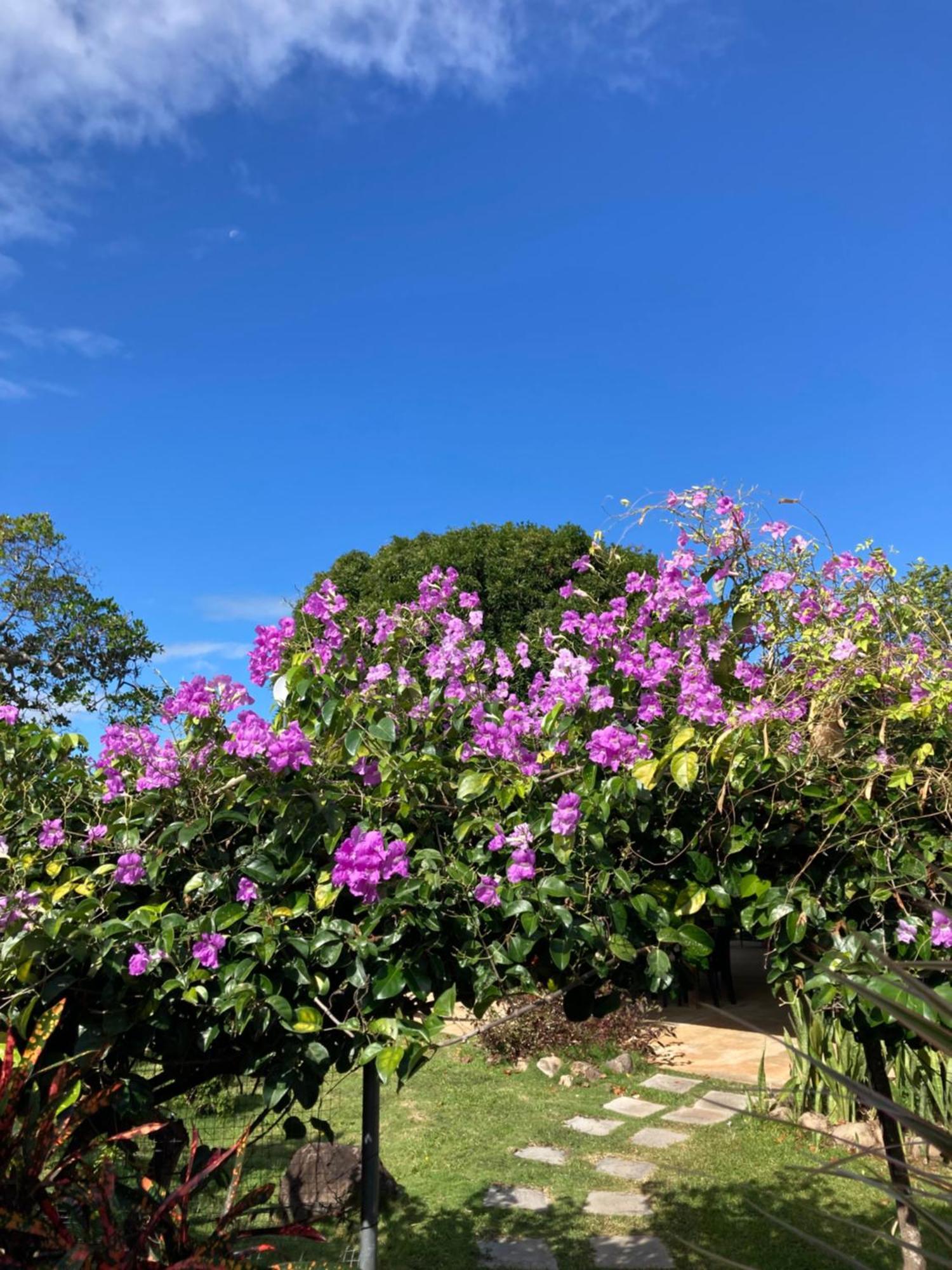 La Maracuya Panama Bed & Breakfast Playa Coronado Exterior photo