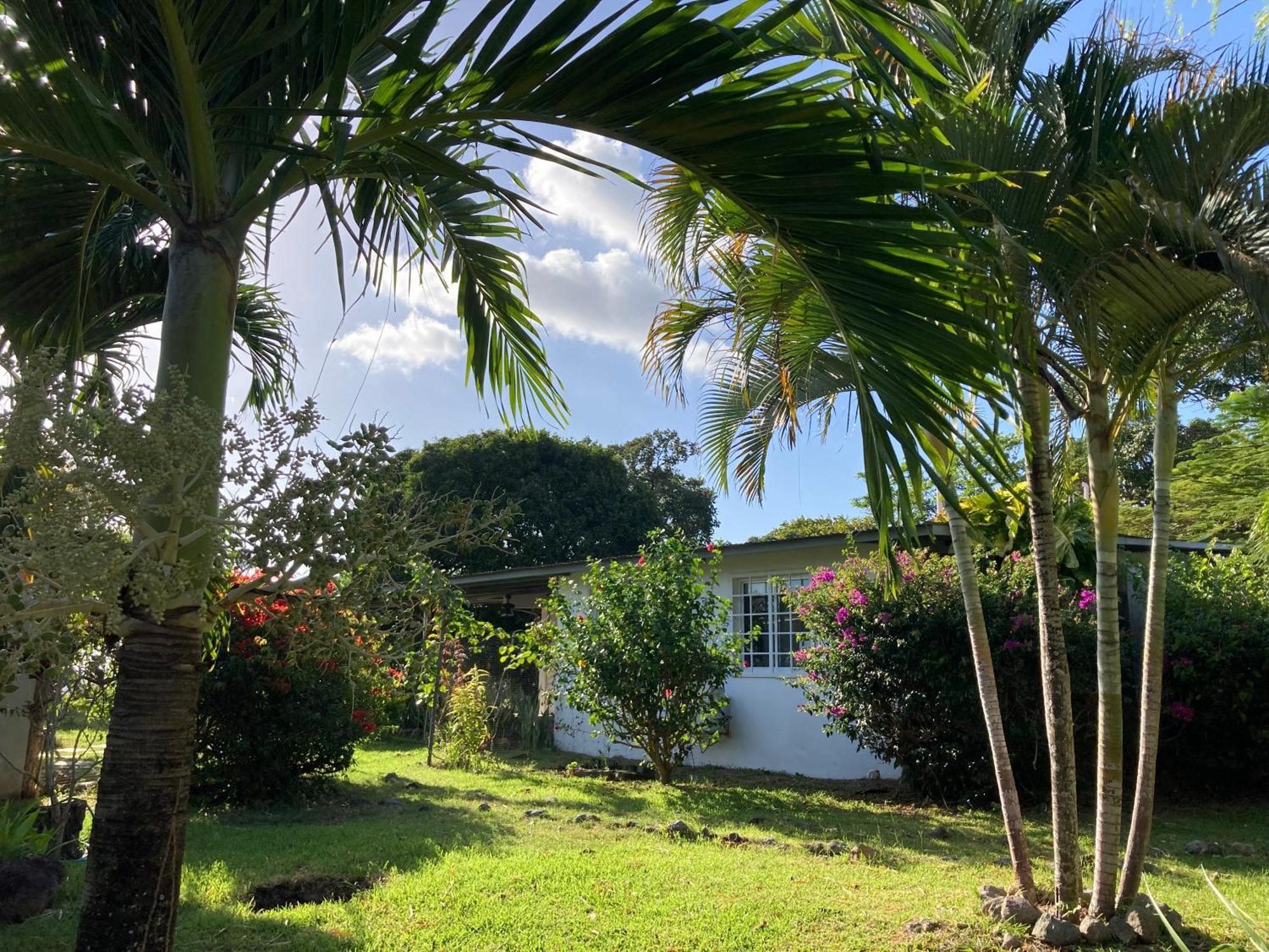 La Maracuya Panama Bed & Breakfast Playa Coronado Exterior photo