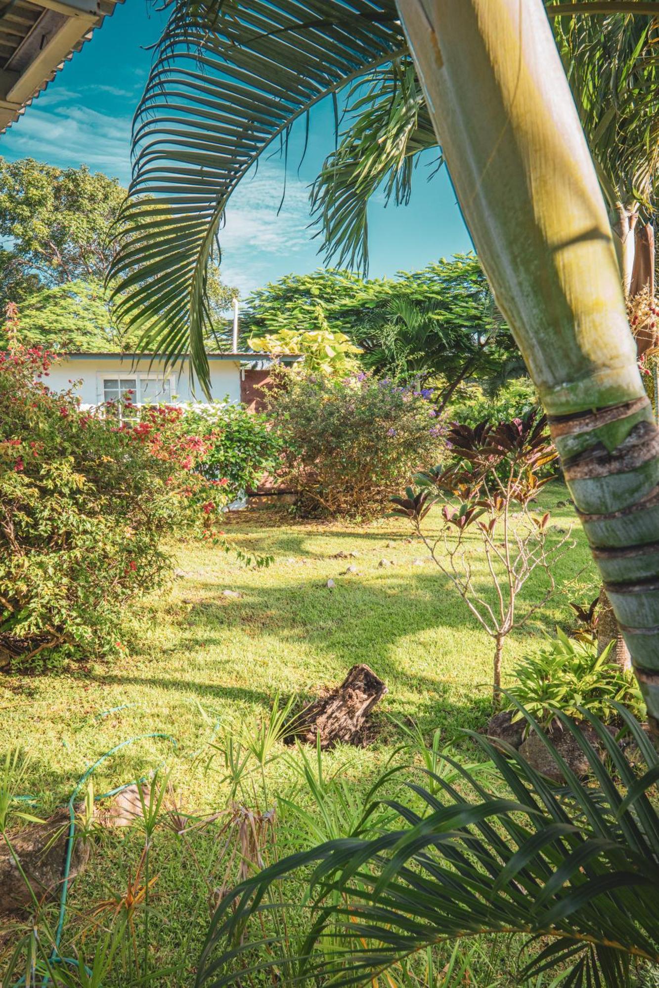 La Maracuya Panama Bed & Breakfast Playa Coronado Exterior photo